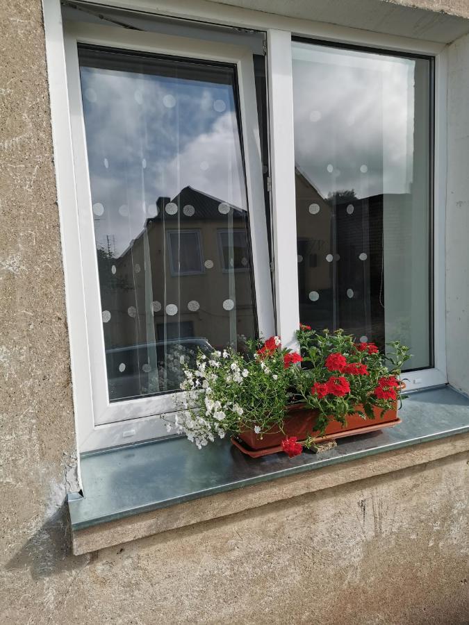 Apartamento Dzivoklis Vecpilseta Bauska Exterior foto